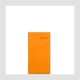 Agenda 2024 troi orange