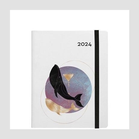 Agenda 2024 melville baleine
