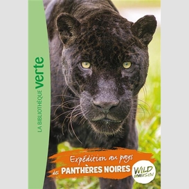Expeditions au pays des pantheres noires