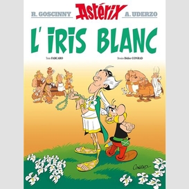 Iris blanc (l')