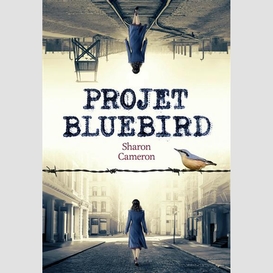 Projet bluebird