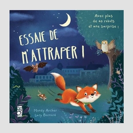 Essaie de m'attraper