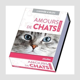 Amours de chats en 365 jours