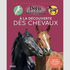 A la decouverte des chevaux