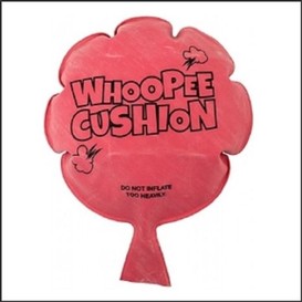 Coussin peteur whoopee
