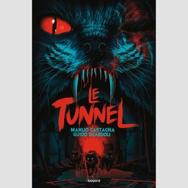 Tunnel (le)