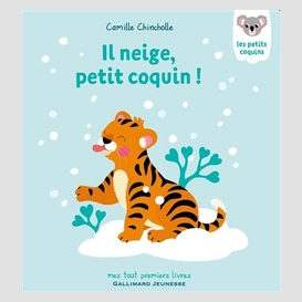 Il neige petit coquin