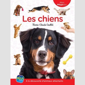 Chiens (les)