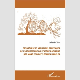 Ontogénèse et variations génétiques de l'architecture du système racinaire des mono et dicotylédones modèles