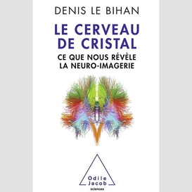 Le cerveau de cristal