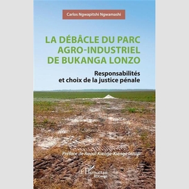 La débâcle du parc agro-industriel de bukanga lonzo