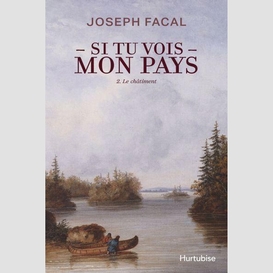 Si tu vois mon pays - tome 2