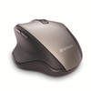 Souris sans fil del ergo graphite