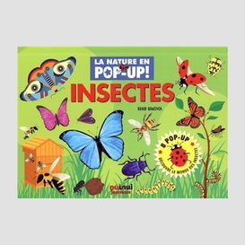 Insectes