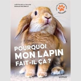 Pourquoi mon lapin fait-il ca