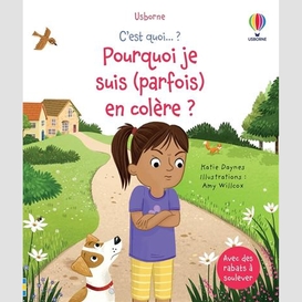 Pourquoi je suis (parfois) en colere