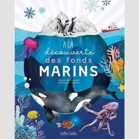 A la decouverte des fonds marins