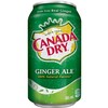 12/bte boisson gazeuse ginger ale
