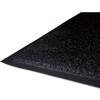 Tapis en lichen de floortex 36x48 noir