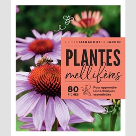 Plantes melliferes