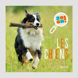 Chiens (les)