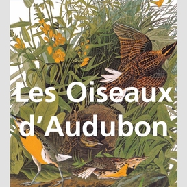 Audubon's birds