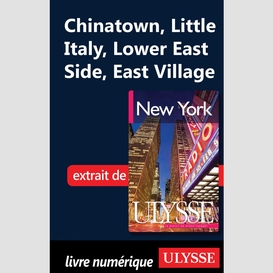 Chinatown, little italy, lower east side, east village