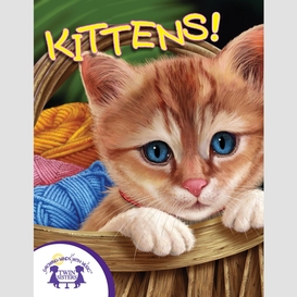 Know-it-alls! kittens