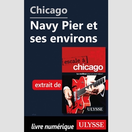 Chicago - navy pier et ses environs