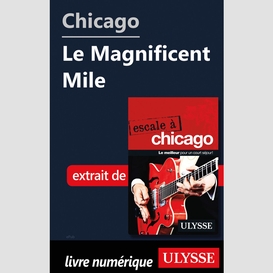 Chicago - le magnificent mile