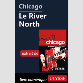 Chicago - le river north