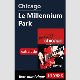 Chicago - le millennium park