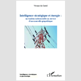 Intelligence stratégique et énergie : un tandem indissociable au service d'une nouvelle géopolitique