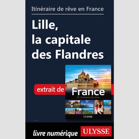 Itinéraire de rêve en france lille, la capitale des flandres