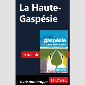 La haute-gaspésie