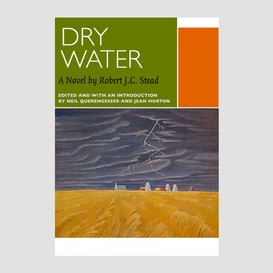 Dry water