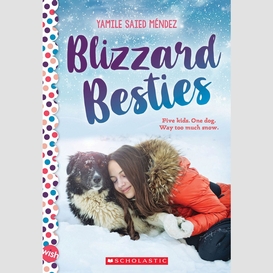 Blizzard besties: a wish novel