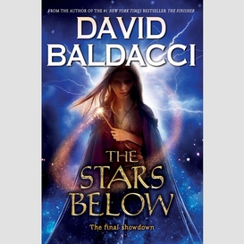 The stars below (vega jane, book 4)