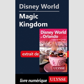 Disney world - magic kingdom