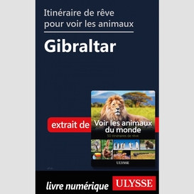 Itinéraire de rêve pour voir les animaux -  gibraltar