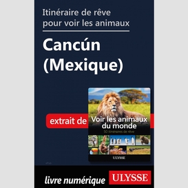 Itinéraire de rêve pour voir les animaux -  cancún (mexique)