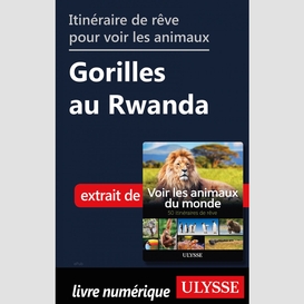 Itinéraire de rêve pour voir les animaux gorilles au rwanda