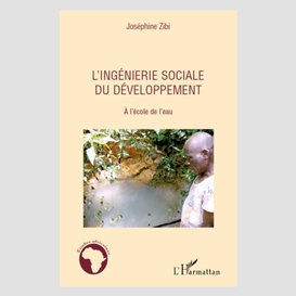 L'ingénierie sociale du développement