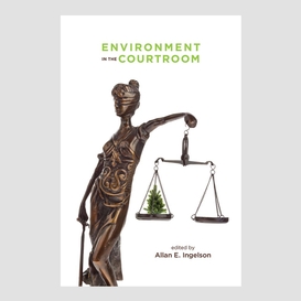 Environment in the courtroom