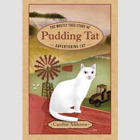 The mostly true story of pudding tat, adventuring cat