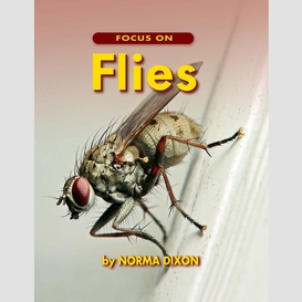 Focus on flies