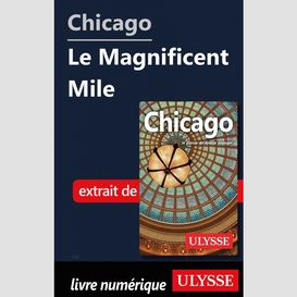 Chicago - le magnificent mile