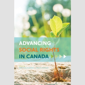 Advancing social rights in canada