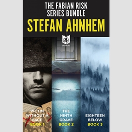 The fabian risk series ebook bundle