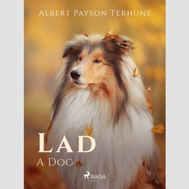 Lad: a dog